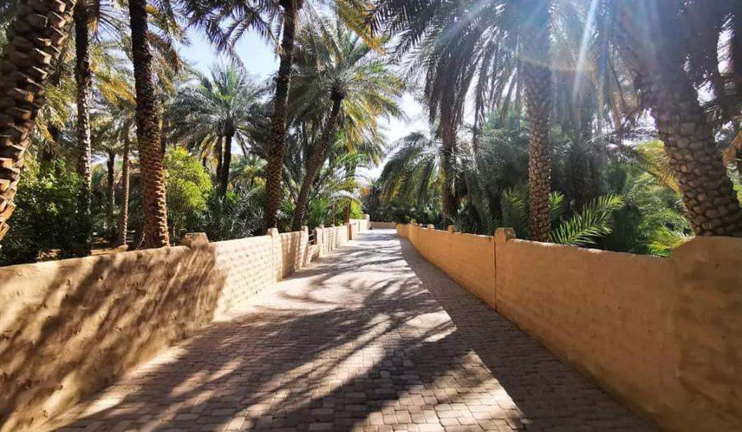 Al Ain Oasis Kidzapp