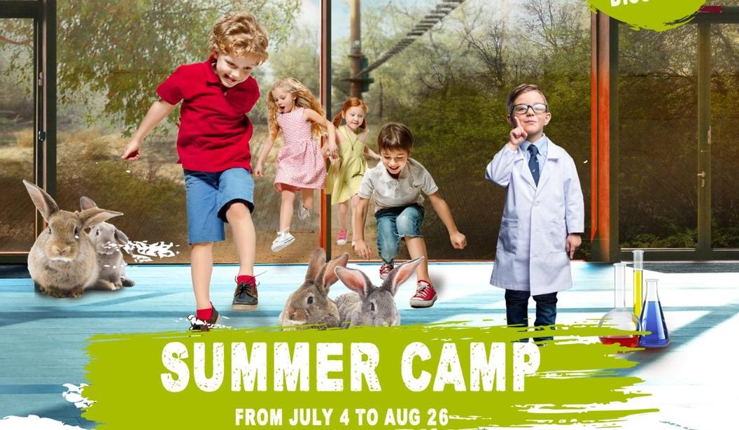 Summer Camp at Aventura Parks