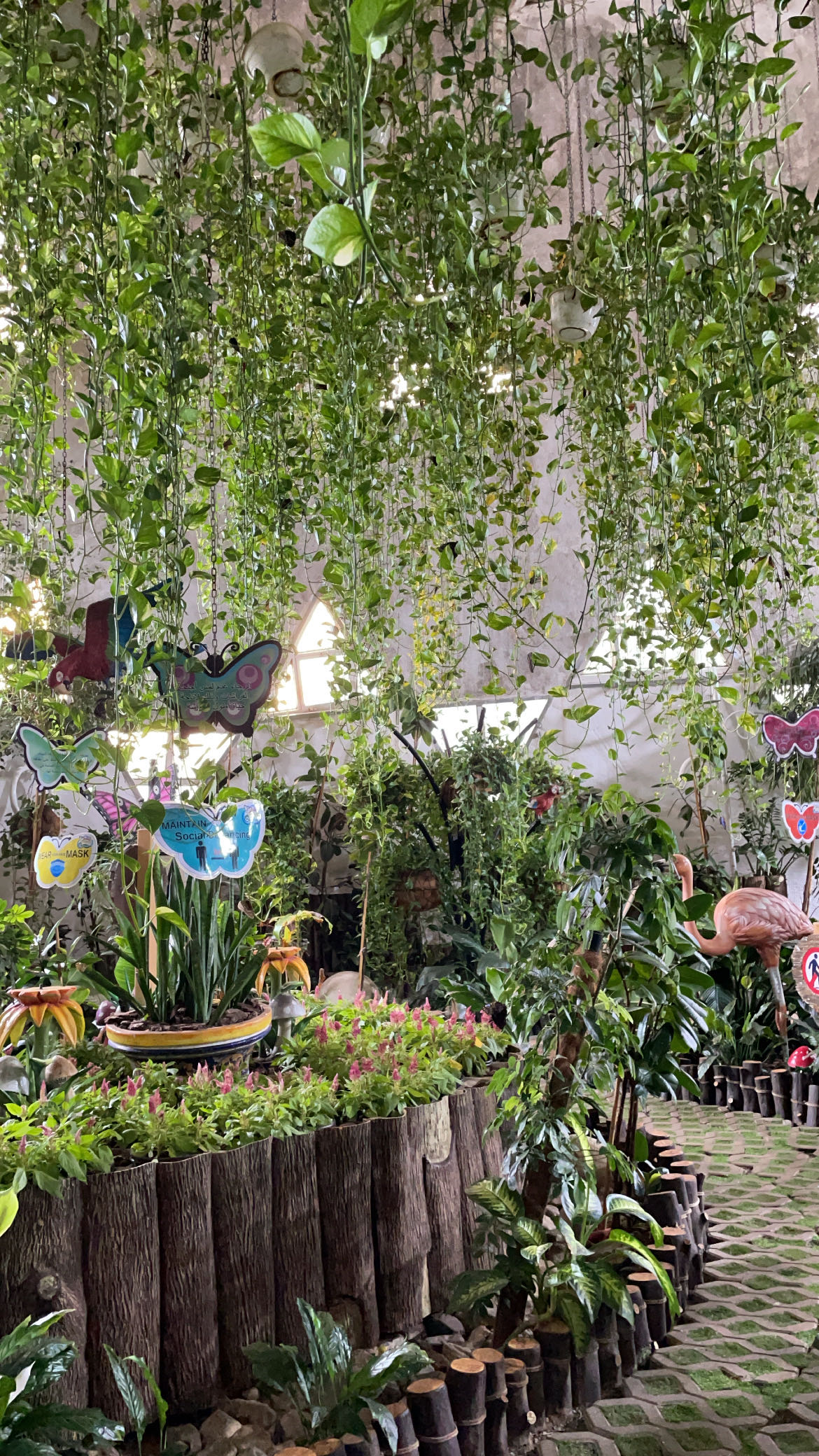 Dubai Butterfly Garden Tickets & Offers 2022 Kidzapp