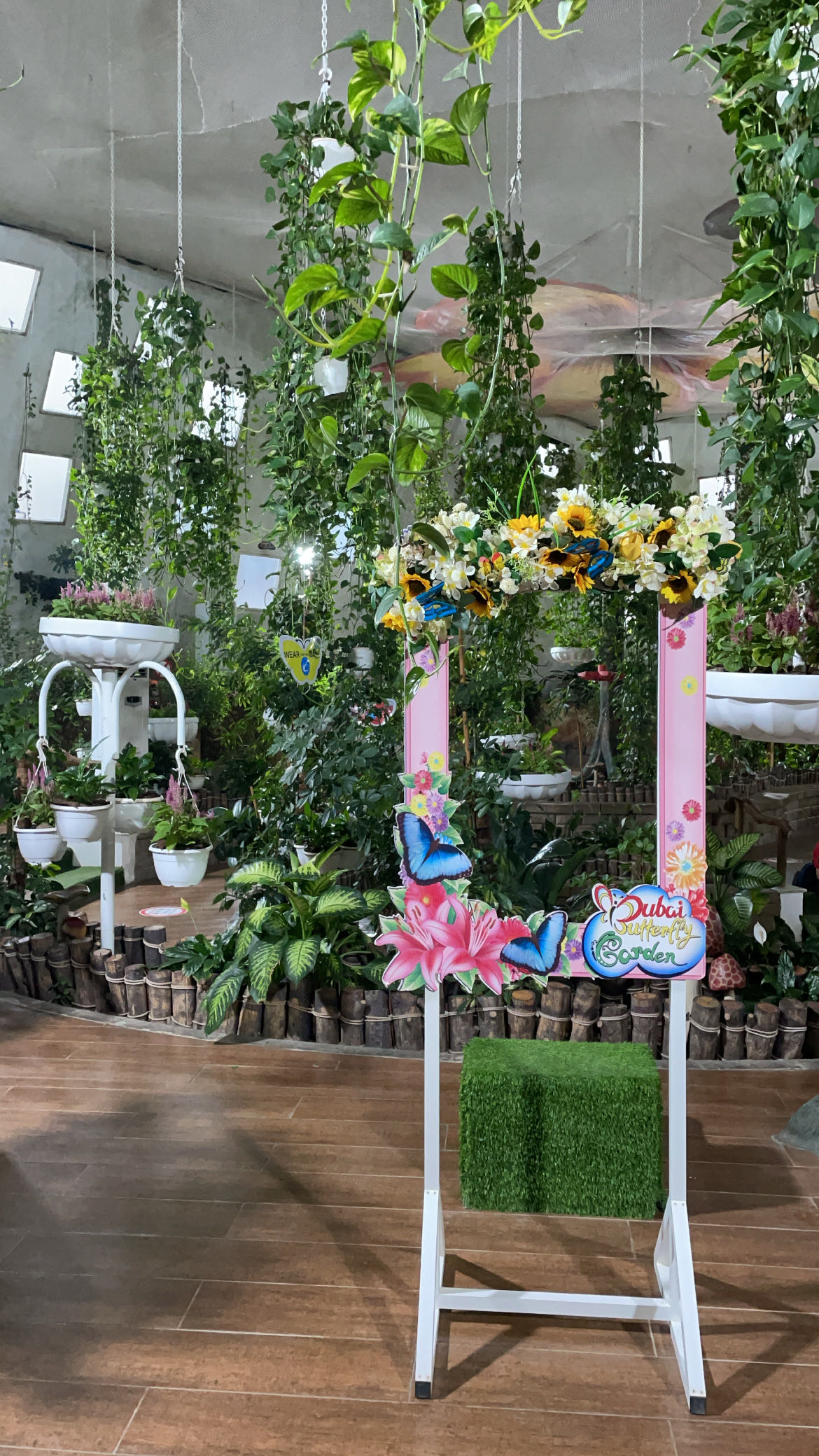 Dubai Butterfly Garden Tickets & Offers 2021 Kidzapp